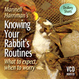 Routines_72.jpg